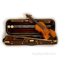 Langwerpige vorm schuim viool harde koffer